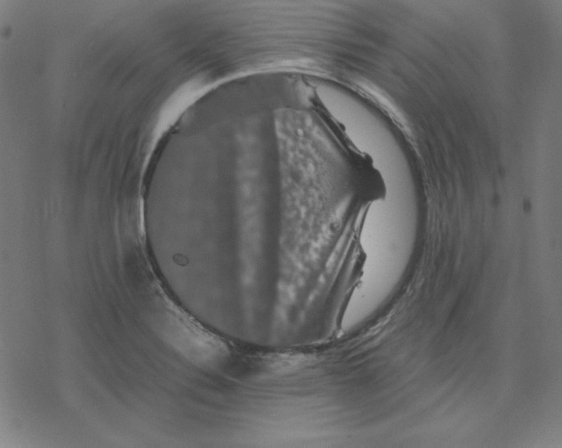 X0000077291324200611101333