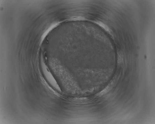 X0000077291325200611101333