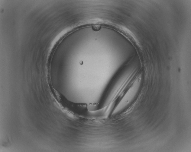 X0000077291326200611101333