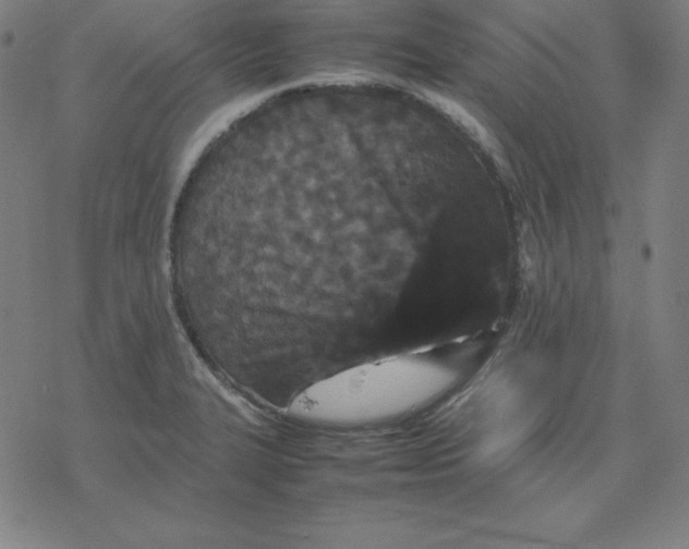 X0000077291327200611101333