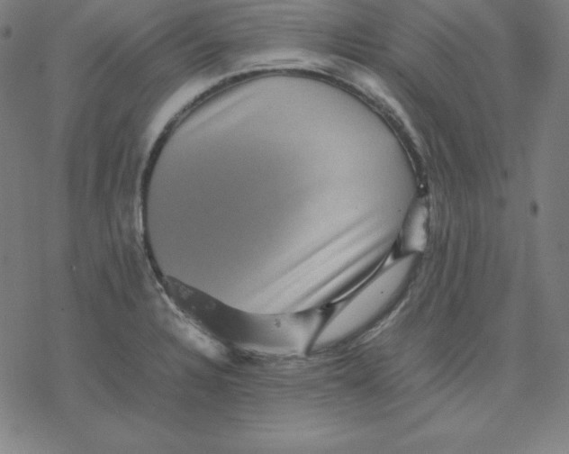 X0000077291328200611101333