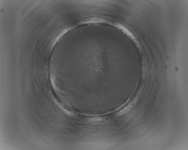 X0000077291329200611101333