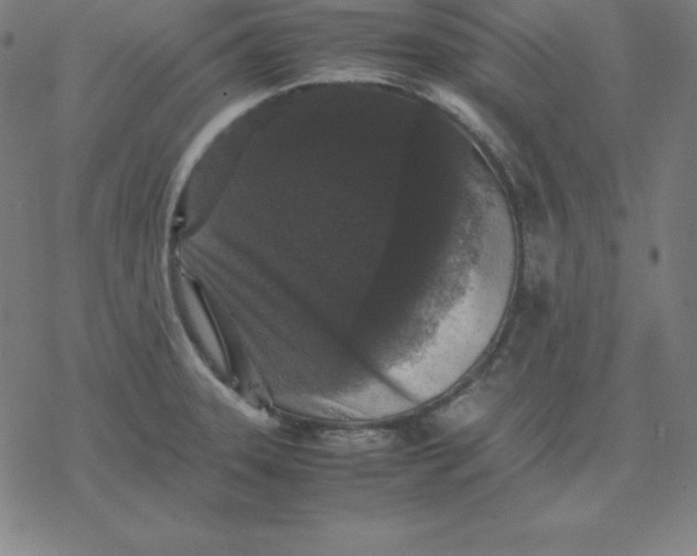 X0000077291331200611101333