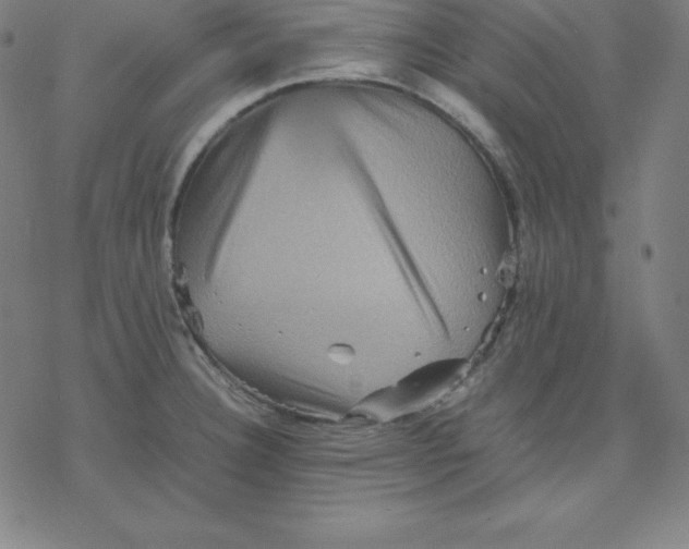 X0000077291332200611101333