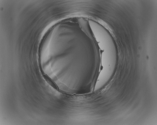 X0000077291334200611101333