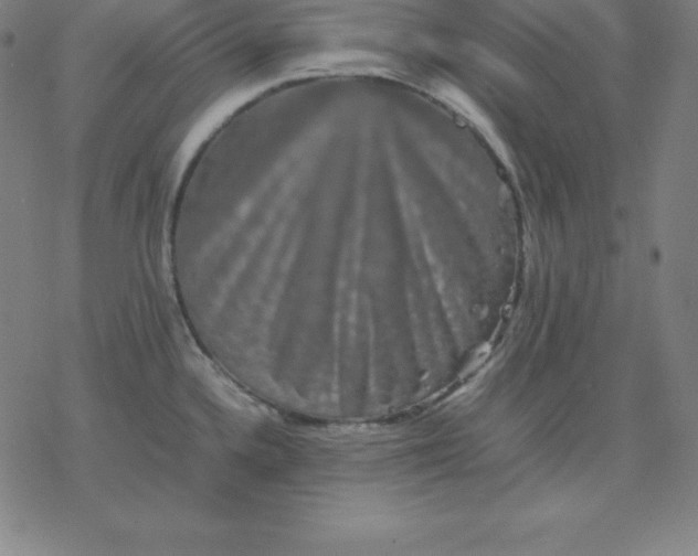 X0000077291336200611101333