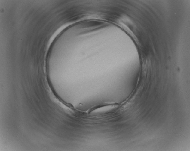 X0000077291339200611101333