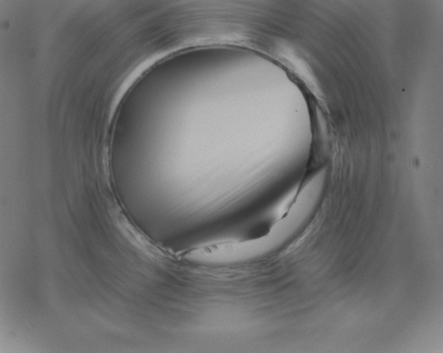 X0000077291340200611101333