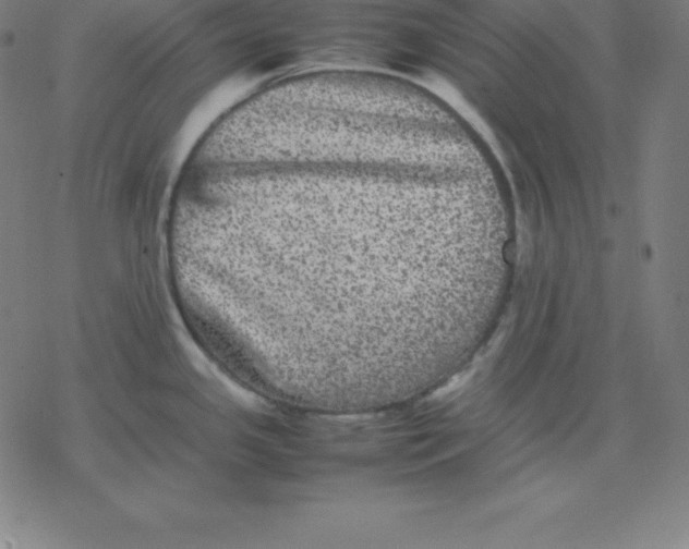 X0000077291341200611101333