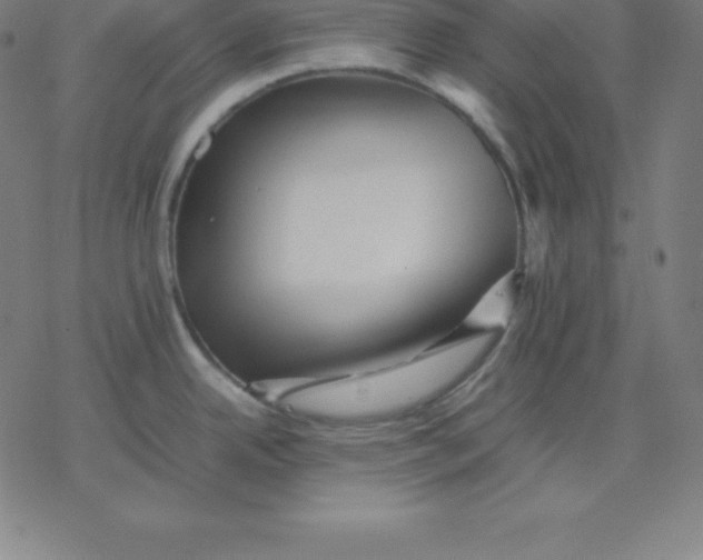 X0000077291342200611101333