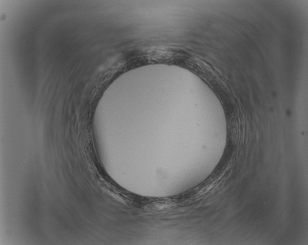 X0000077291345200611101333