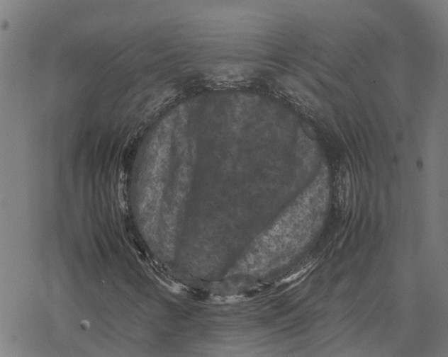 X0000077291346200611101333