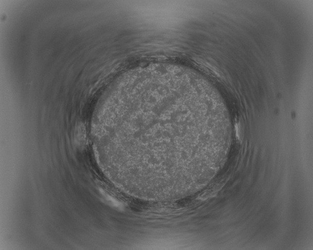 X0000077291347200611101332