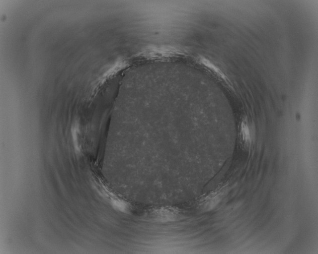 X0000077291348200611101332