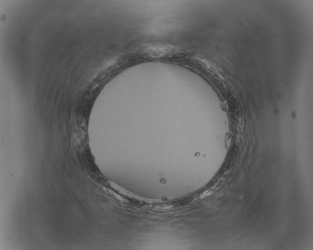 X0000077291349200611101332