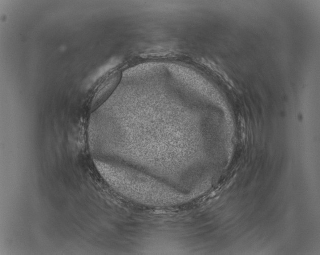 X0000077291350200611101332