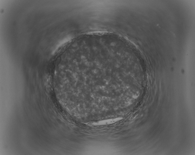 X0000077291351200611101332