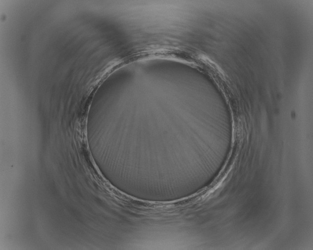 X0000077291353200611101332