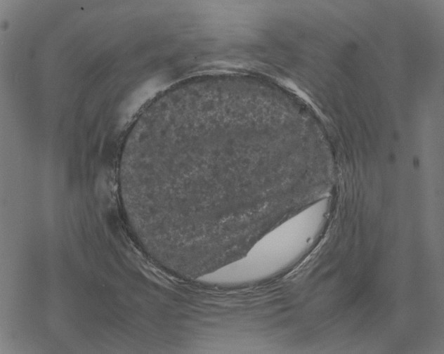 X0000077291355200611101332