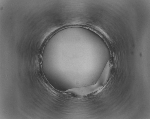 X0000077291356200611101332