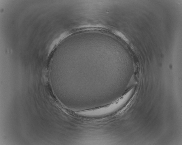 X0000077291357200611101332