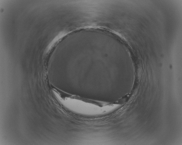 X0000077291359200611101332