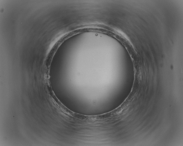 X0000077291360200611101332