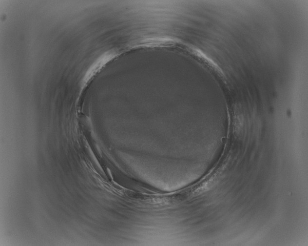 X0000077291362200611101332