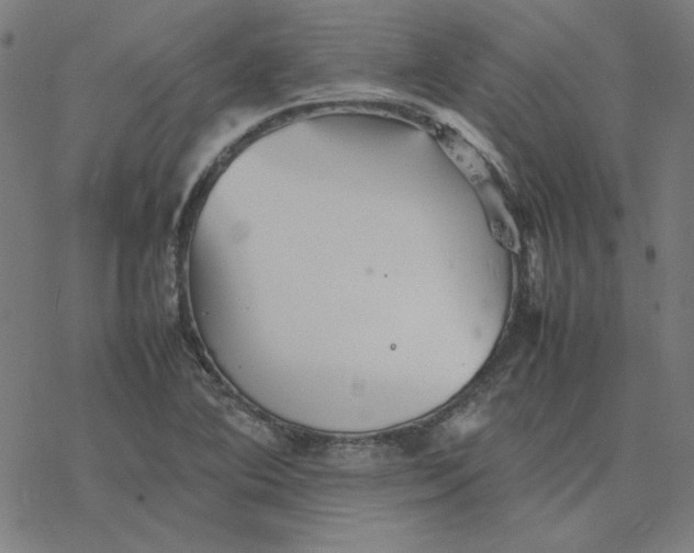 X0000077291364200611101332