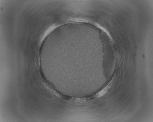 X0000077291365200611101332