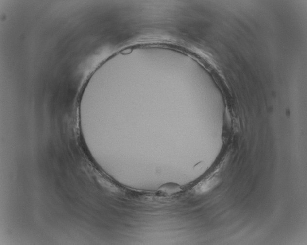 X0000077291366200611101332