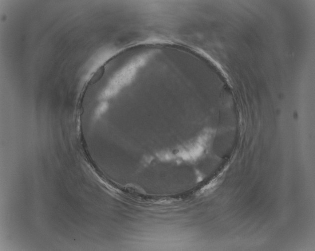 X0000077291367200611101332