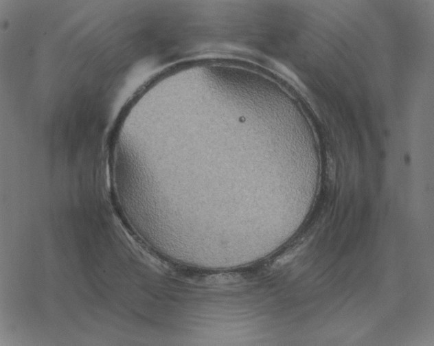 X0000077291368200611101332