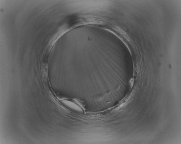 X0000077291369200611101332