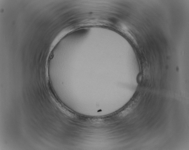 X0000077291370200611101332