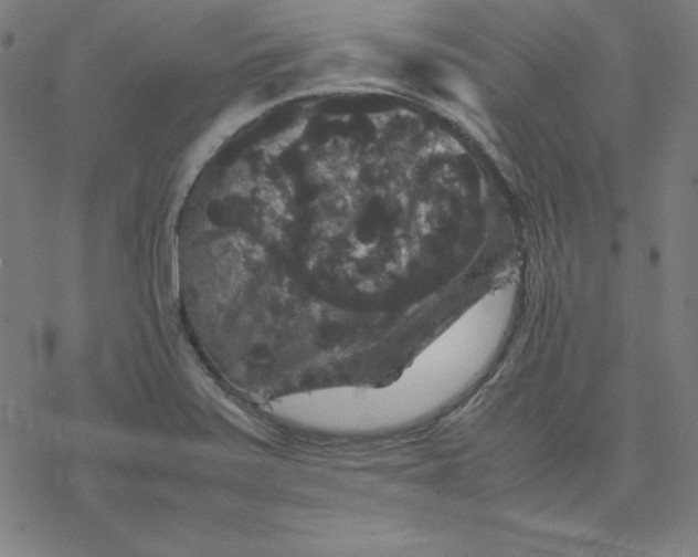 X0000077291371200611101332