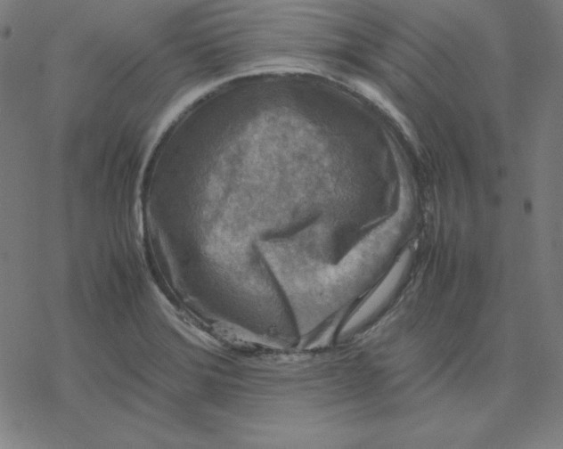 X0000077291372200611101332