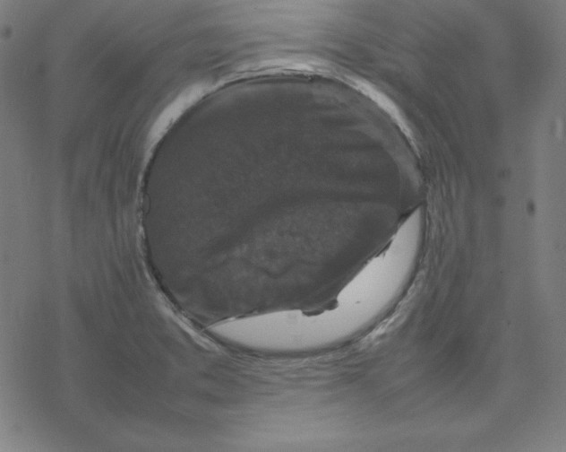 X0000077291373200611101332