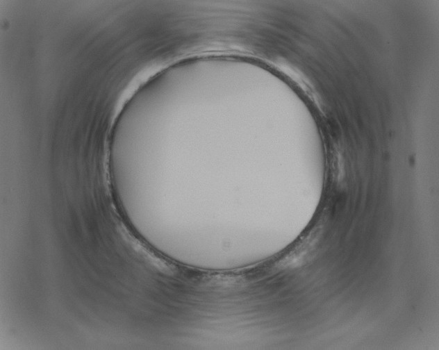 X0000077291374200611101332