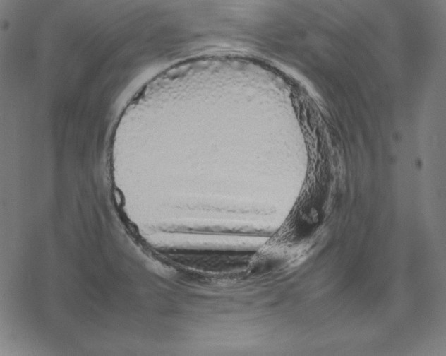 X0000077291375200611101332