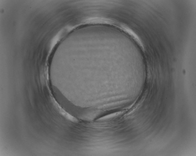 X0000077291376200611101332