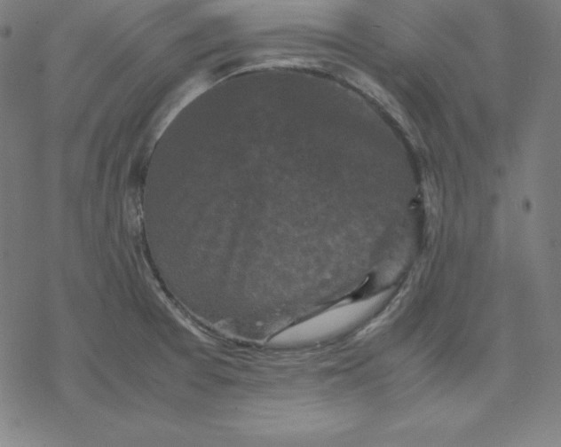 X0000077291377200611101332