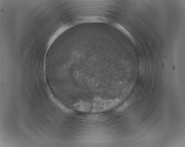 X0000077291378200611101332