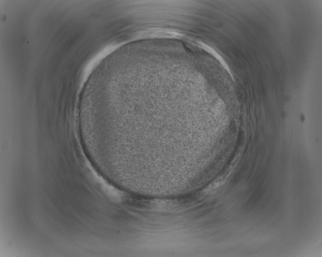 X0000077291379200611101332