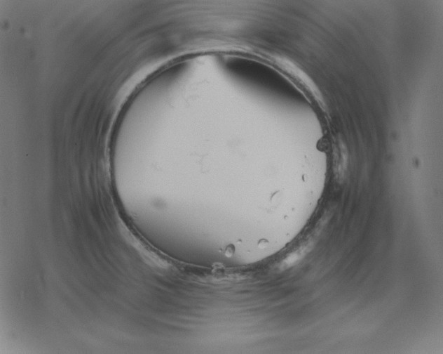 X0000077291380200611101332