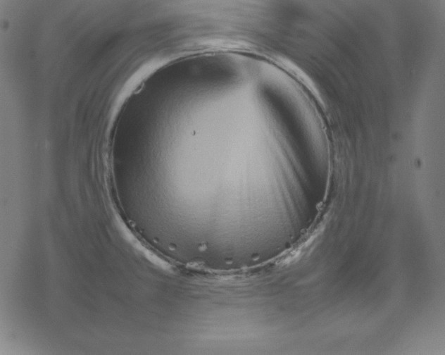 X0000077291381200611101332