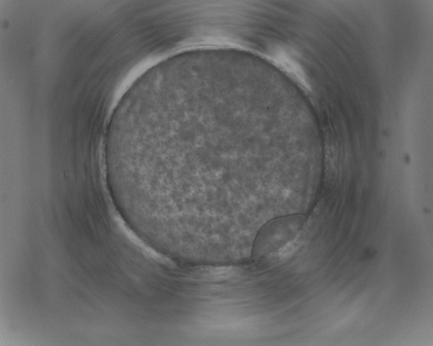 X0000077291382200611101332