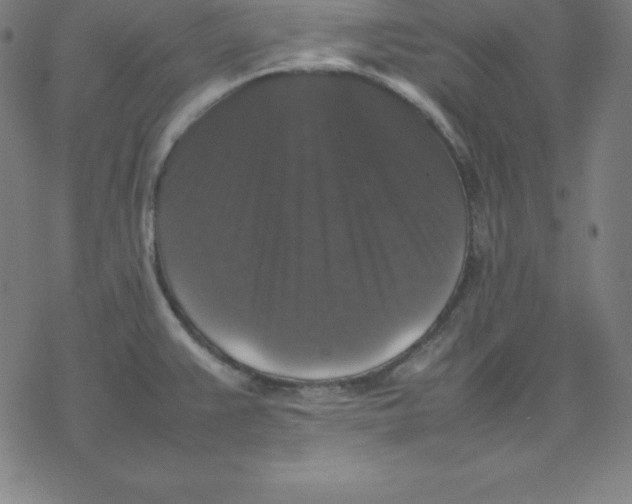 X0000077291383200611101332