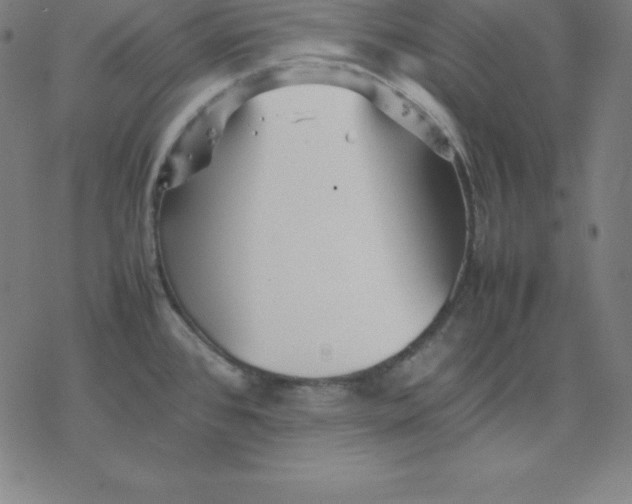 X0000077291384200611101332