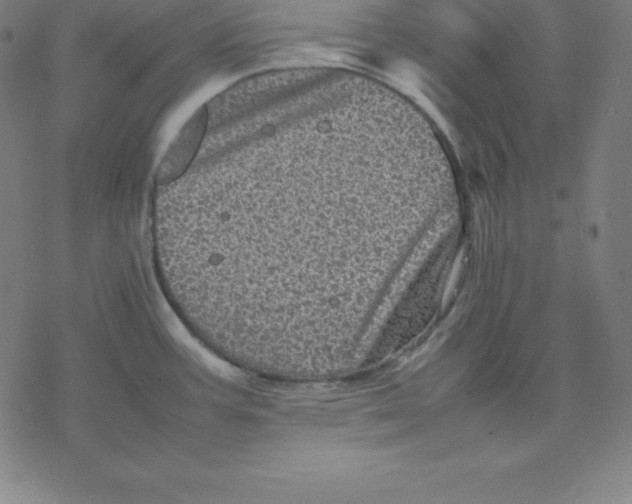 X0000077291387200611101332